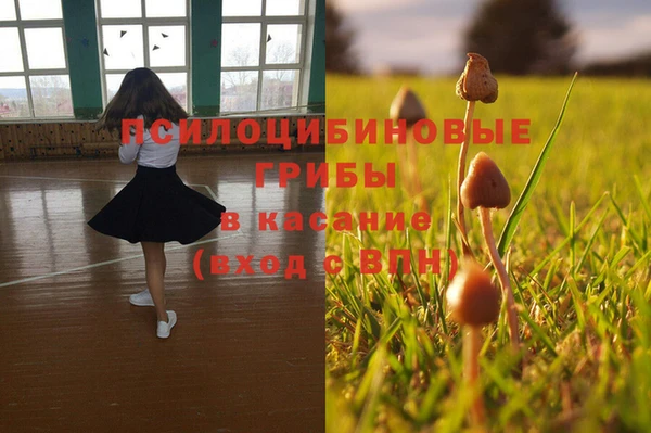 2c-b Баксан