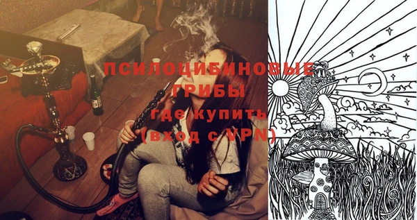 ГАЛЛЮЦИНОГЕННЫЕ ГРИБЫ Балабаново